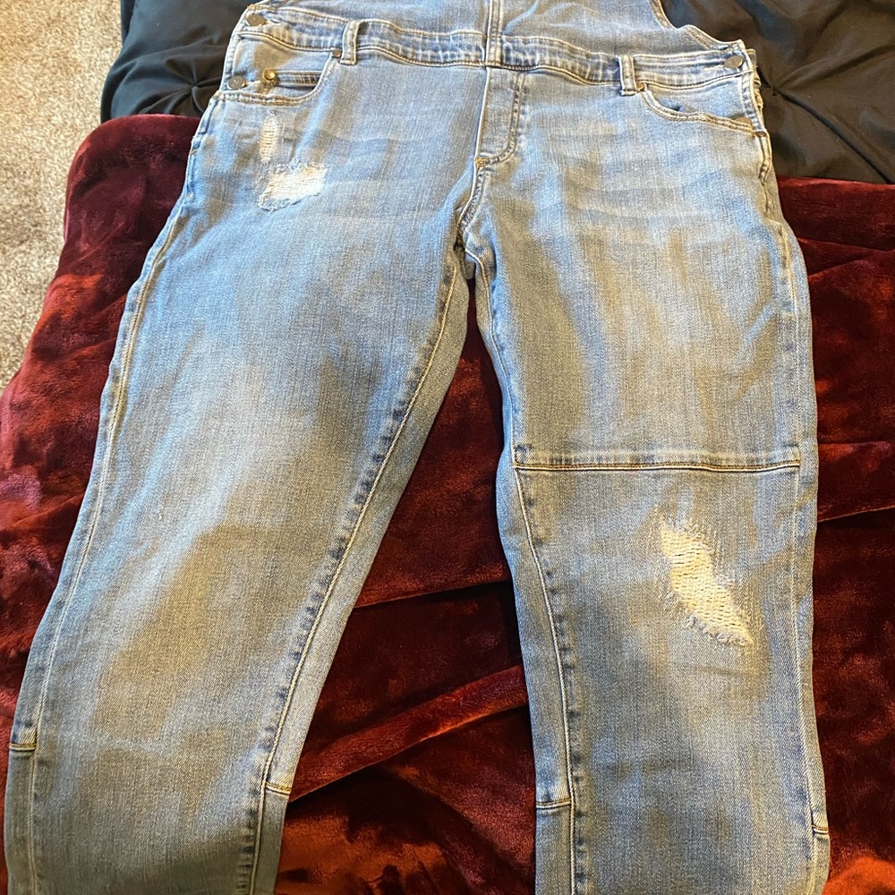 Anthropologie Pilcro and the Letterpress Denim Overalls - Picture 9 of 11